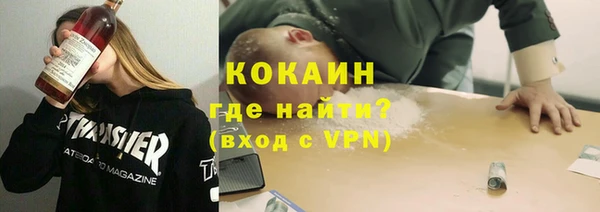 МДПВ Кукмор