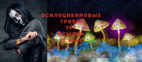 МДПВ Кукмор