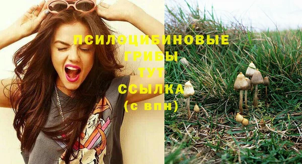 герыч Куйбышев